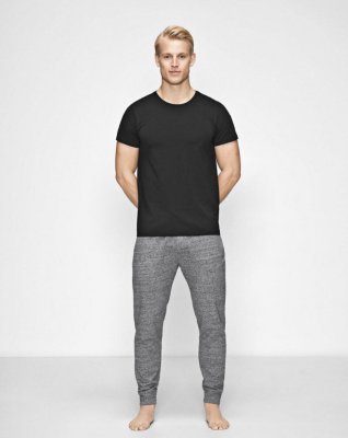 Ekologisk bomull, T-shirt o-neck, Svart -JBS of Denmark Men