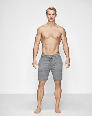 Bambu, Sweat-Shorts, Grå -JBS of Denmark Men