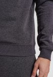Återvunnen polyester, Sweatshirt, Grå melange -Claudio