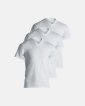 3-pack Ekologisk bomull, T-shirt v-neck "Jersey", Vit -Dovre